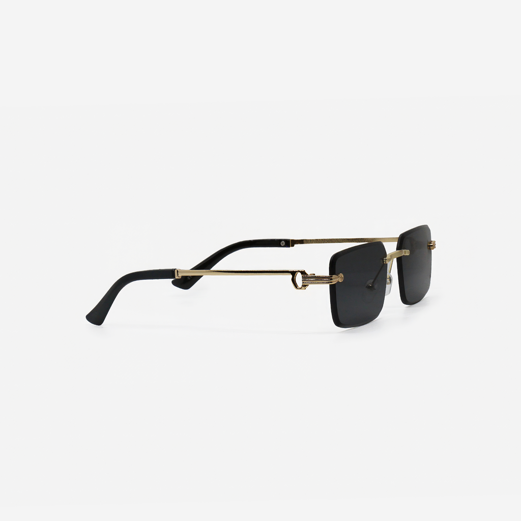 Gafas de Sol Cartier Eclipse